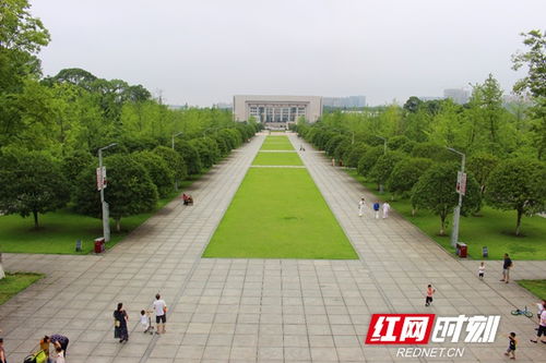 湖南 一建園林杯 園林設(shè)計園藝項目職業(yè)技能大賽決賽即將舉行