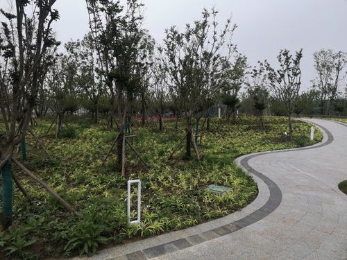 200多公頃 桃花源 背后現港城 科技匠心