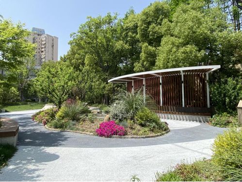 長風兩處小邊角變身 小花園 抬頭見綠 低頭見花